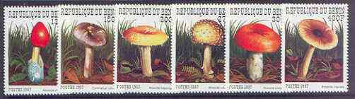 Benin 1997 Mushrooms complete perf set of 6 unmounted mint, SG 1684-89*, stamps on , stamps on  stamps on fungi