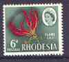 Rhodesia 1966 Flame Lily 6d (photogravure printing) unmounted mint, SG 378, stamps on , stamps on  stamps on flowers, stamps on  stamps on lily