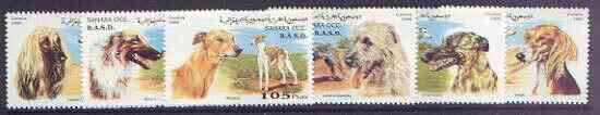 Sahara Republic 1996 Dogs perf set of 6 unmounted mint, stamps on , stamps on  stamps on dogs, stamps on  stamps on greyhound, stamps on  stamps on irish, stamps on  stamps on wolfhound, stamps on  stamps on whippet, stamps on  stamps on afghan, stamps on  stamps on borzoi, stamps on  stamps on saluki