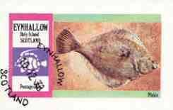 Eynhallow 1973 Plaice imperf souvenir sheet (50p value) cto used, stamps on , stamps on  stamps on fish, stamps on  stamps on plaice