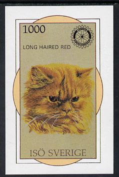 Iso - Sweden 1984 Rotary - Domestic Cats (Long Haired Red) imperf deluxe sheet (1000 value) unmounted mint, stamps on , stamps on  stamps on animals  cats  rotary, stamps on  stamps on  iso , stamps on  stamps on 
