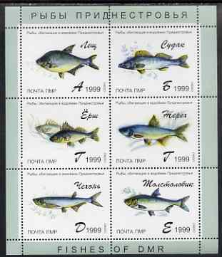 Dnister Moldavian Republic (NMP) 1999 Fish of DMR perf sheetlet containing set of 6 values unmounted mint, stamps on , stamps on  stamps on fish