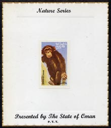 Oman 1974 Zoo Animals (Chimpanzee) imperf (25b value) mounted on special 'Nature Series' presentation card inscribed 'Presented by the State of Oman', stamps on animals, stamps on apes