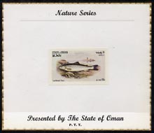 Oman 1972 Fish (Lochleven Trout) imperf (10b value) mounted on special 'Nature Series' presentation card inscribed 'Presented by the State of Oman', stamps on , stamps on  stamps on fish, stamps on  stamps on trout