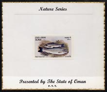 Oman 1972 Fish (Black Finned Trout) imperf (8b value) mounted on special 'Nature Series' presentation card inscribed 'Presented by the State of Oman', stamps on , stamps on  stamps on fish, stamps on  stamps on trout