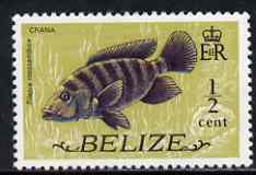 Belize 1974 Mouthbrooder (Crana fish) 1/2c (from def set) unmounted mint SG 362, stamps on , stamps on  stamps on fish