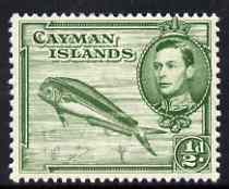 Cayman Islands 1938-48 KG6 Dolphin Fish KG6 1/2d P13 x 11.5 unmounted mint, SG 116, stamps on animals, stamps on  kg6 , stamps on fish, stamps on gamefish