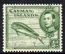 Cayman Islands 1938-48 KG6 Dolphin Fish KG6 1/2d P13 x 11.5 unmounted mint, SG 116