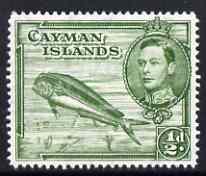 Cayman Islands 1938-48 KG6 Dolphin Fish KG6 1/2d P14 unmounted mint, SG 116a, stamps on , stamps on  stamps on animals, stamps on  stamps on  kg6 , stamps on  stamps on fish, stamps on  stamps on gamefish