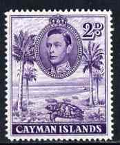 Cayman Islands 1938-48 KG6 Hawksbill Turtles KG6 2d P14 unmounted mint, SG 119a, stamps on , stamps on  stamps on animals, stamps on  stamps on  kg6 , stamps on  stamps on reptiles, stamps on  stamps on turtles