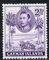 Cayman Islands 1938-48 KG6 Hawksbill Turtles KG6 2d P11.5x13 unmounted mint, SG 119, stamps on animals, stamps on  kg6 , stamps on reptiles, stamps on turtles