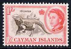 Cayman Islands 1962-64 Iguana 1s unmounted mint, SG 174, stamps on animals, stamps on reptiles, stamps on shells