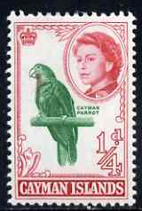 Cayman Islands 1962-64 Amazon (Parrot) 1/4d unmounted mint SG 165, stamps on , stamps on  stamps on birds, stamps on  stamps on parrots, stamps on  stamps on shells