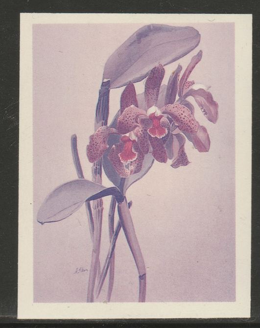 Guyana 1985-89 Orchids Series 2 plate 36 (Sanders' Reichenbachia) unmounted mint imperf progressive proof in blue & red only, stamps on flowers  orchids