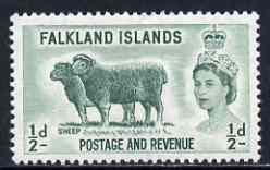 Falkland Islands 1957 Sheep 1/2d unmounted mint, SG 187, stamps on animals, stamps on sheep, stamps on ovine