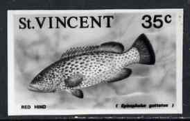 St Vincent 1975 Red Hind 35c stamp size Black & white  photographic proof similar to issued stamp but with thicker lettering and without imprint, as SG 435, stamps on fish