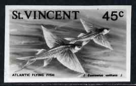 St Vincent 1975 Atlantic Flyingfish 45c stamp size Black & white  photographic proof similar to issued stamp but with thicker lettering and without imprint, as SG 436, stamps on , stamps on  stamps on fish