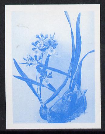 Guyana 1985-89 Orchids Series 2 plate 94 (Sanders Reichenbachia) unmounted mint imperf progressive proof in blue only, stamps on flowers  orchids