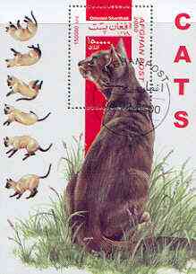 Afghanistan 2000 Domestic Cats (Oriental Shorthair) perf m/sheet cto used, stamps on cats