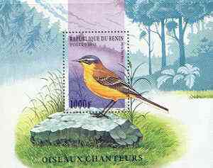 Benin 1997 Birds perf m/sheet (Yellow Wagtail) unmounted mint, SG MS 1658, stamps on birds