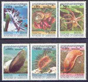 Cambodia 1999 Marine Life complete set of 6 values unmounted mint, stamps on , stamps on  stamps on marine life, stamps on shells