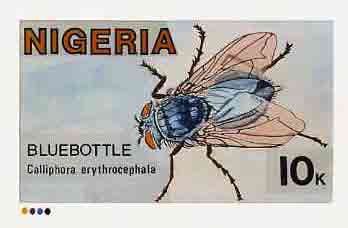 Nigeria 1986 Insects - original hand-painted artwork for 10k value (Bluebottle) by NSP&MCo Staff Artist Hilda T Woods on card 8.5 x 5, stamps on , stamps on  stamps on insects