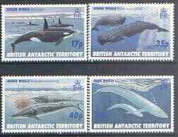 British Antarctic Territory 1996 Whales perf set of 4 unmounted mint, SG 265-68, stamps on polar, stamps on whales, stamps on mammals