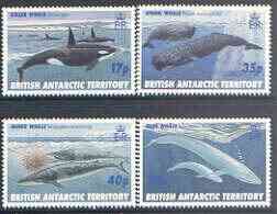 British Antarctic Territory 1996 Whales perf set of 4 unmounted mint, SG 265-68, stamps on , stamps on  stamps on polar, stamps on  stamps on whales, stamps on  stamps on mammals