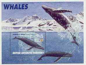 British Antarctic Territory 1996 Whales perf m/sheet unmounted mint, SG MS 269, stamps on , stamps on  stamps on polar, stamps on  stamps on whales, stamps on  stamps on mammals