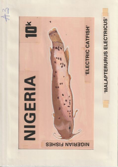 Nigeria 1991 Fishes - original hand-painted artwork for 10k value (Catfish) by unknown artist on card 8.5 x 5 endorsed A3, stamps on fish     marine-life
