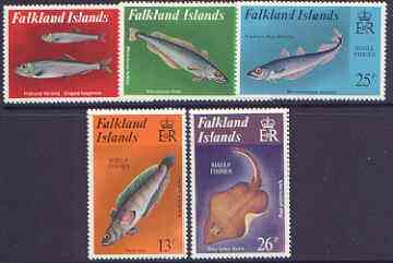 Falkland Islands 1981 Shelf Fishes perf set of 5 unmounted mint, SG 412-16, stamps on , stamps on  stamps on fish, stamps on  stamps on 