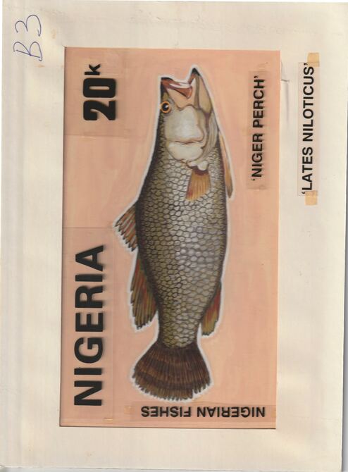 Nigeria 1991 Fishes - original hand-painted artwork for 20k value (Niger Perch) by unknown artist on card 8.5 x 5 endorsed B3, stamps on fish     marine-life