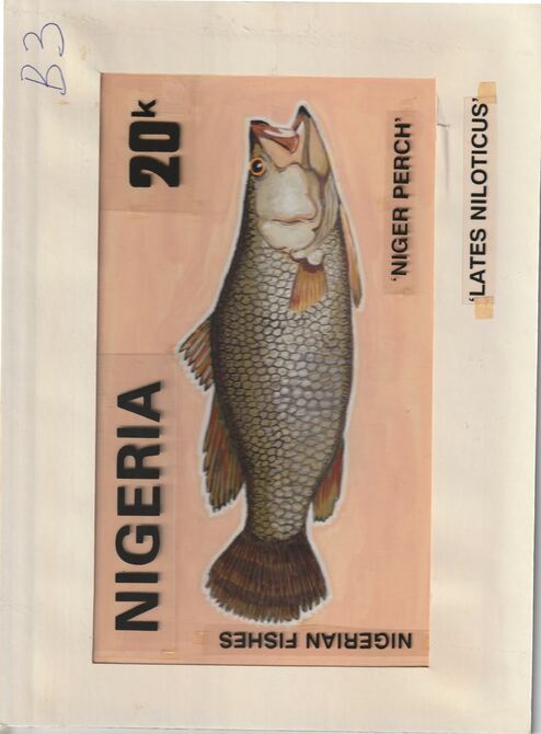 Nigeria 1991 Fishes - original hand-painted artwork for 20k value (Niger Perch) by unknown artist on card 8.5 x 5 endorsed B3, stamps on , stamps on  stamps on fish     marine-life