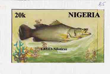 Nigeria 1991 Fishes - original hand-painted artwork for 20k value (Niger Perch) by unknown artist on card 8.5 x 5 endorsed B5, stamps on , stamps on  stamps on fish     marine-life