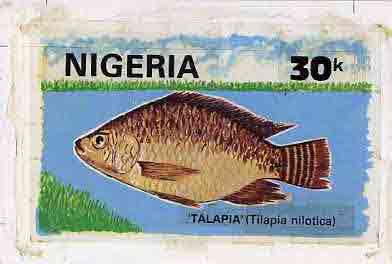 Nigeria 1991 Fishes - original hand-painted artwork for 30k value (Talapia) by Nojim A Lasisi similar to issued stamp on card 9 x 6, stamps on , stamps on  stamps on fish     marine-life