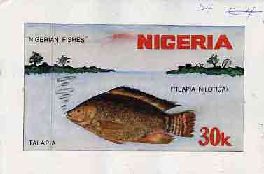 Nigeria 1991 Fishes - original hand-painted artwork for 30k value (Talapia) by NSP&MCo Staff Artist Clement O Ogbebor on card 8.5 x 5 endorsed D4, stamps on , stamps on  stamps on fish     marine-life