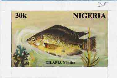 Nigeria 1991 Fishes - original hand-painted artwork for 30k value (Talapia) by S O Nwasike on card 8.5 x 5 endorsed D5, stamps on fish     marine-life
