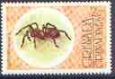 Grenada - Grenadines 1976 Eurypelma Spider 2c (from Flora & Fauna set) unmounted mint SG 149, stamps on spiders, stamps on insects