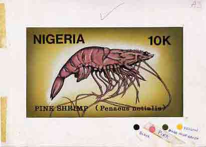 Nigeria 1988 Shrimps - original hand-painted artwork for 10k value (Pink Shrimp) by NSP&MCo Staff Artist Samuel A M Eluare very similar to issued design on card 8.5 x 5 e..., stamps on food   marine-life