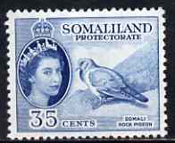 Somaliland 1953-58 Stock Dove (Rock Pigeon) 35c blue unmounted mint, SG 142