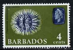 Barbados 1966-69 Sea Urchin 4c (wmk sideways) unmounted mint SG 345, stamps on , stamps on  stamps on marine life, stamps on  stamps on 