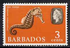 Barbados 1965 Seahorse (Hippocanpus) 3c def (wmk upright) unmounted mint SG 324, stamps on , stamps on  stamps on marine life, stamps on  stamps on fish, stamps on  stamps on seahorses