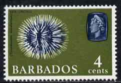 Barbados 1965 Sea Urchin 4c def (wmk upright) unmounted mint SG 325, stamps on , stamps on  stamps on marine life