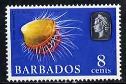 Barbados 1965 Rough File Shell 8c def (wmk upright) unmounted mint SG 328, stamps on marine life, stamps on shells