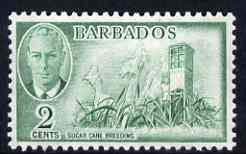 Barbados 1950 Sugar Cane Breeding 2c from def set unmounted mint, SG 272, stamps on sugar, stamps on food, stamps on  kg6 , stamps on 
