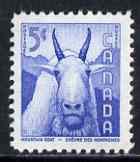 Canada 1956 Mountain Goat 5c from Wild Life Week unmounted mint, SG 487, stamps on animals, stamps on ovine, stamps on goats