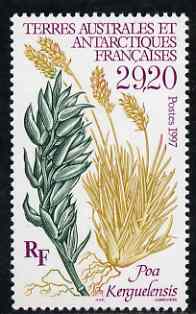 French Southern & Antarctic Territories 1997 Poa Kerguelensis (Plant) unmounted mint SG 373, stamps on , stamps on  stamps on flowers, stamps on  stamps on plants