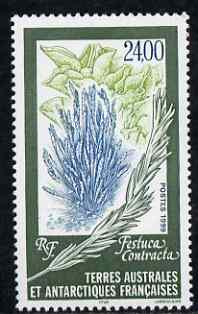 French Southern & Antarctic Territories 1999 Festuca contracta (grass) 24f unmounted mint, SG 402, stamps on plants, stamps on grass