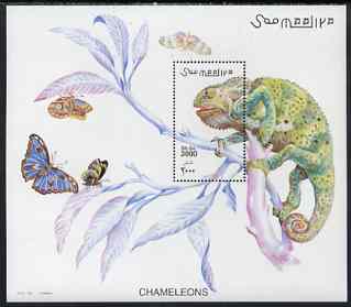 Somalia 2001 Chameleons perf m/sheet unmounted mint, Michel BL 78, stamps on , stamps on  stamps on reptiles, stamps on  stamps on chameleons