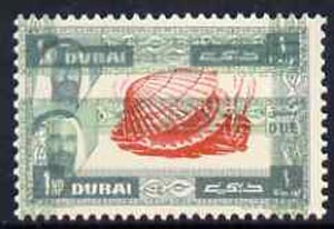 Dubai 1963 European Cockle 1np Postage Due perf proof on gummed paper with frame doubly printed, SG D26var, stamps on , stamps on  stamps on shells, stamps on  stamps on marine life